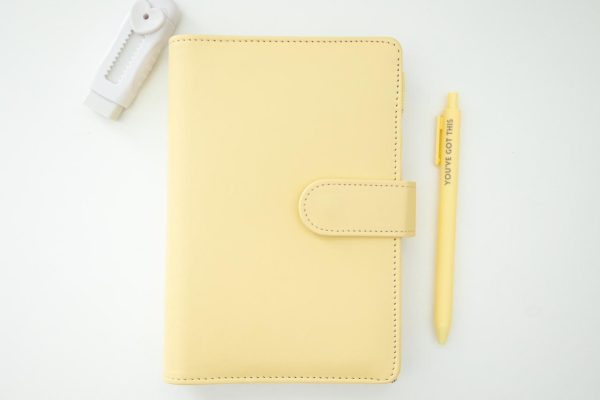 Budget Binder (includes Savings Challenges & Diary Stickers)