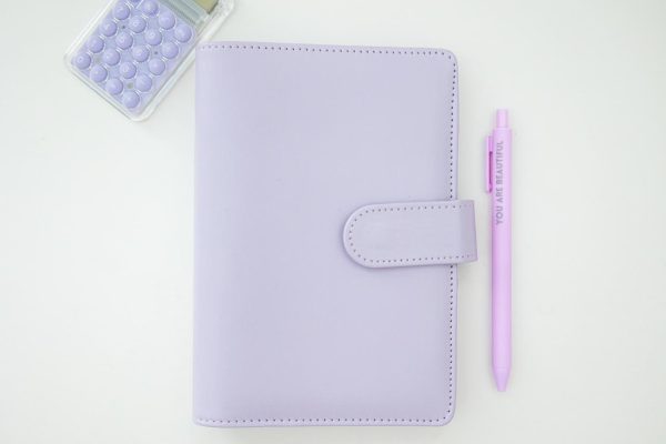 Budget Binder (includes Savings Challenges & Diary Stickers)